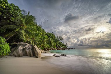 Cennet plaj anse georgette, praslin, Seyşeller 15