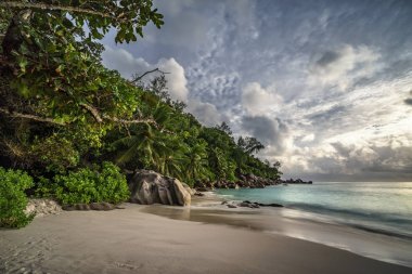 Cennet plaj anse georgette, praslin, Seyşeller 20