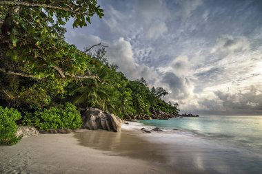 Cennet plaj anse georgette, praslin, Seyşeller 22