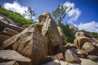 Granit kayalar bir kenarı Seyşeller 21 üzerinde bir sürü