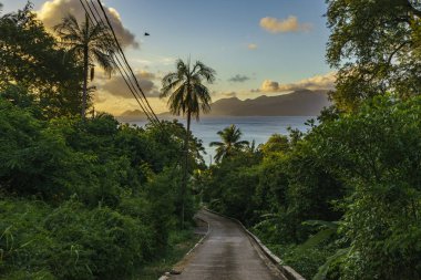 ormanda, Seyşeller 1 yalnız yol