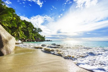 Cennet plaj anse georgette, praslin Seyşeller 16 güneşli günde