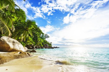 Cennet plaj anse georgette, praslin Seyşeller 44 güneşli günde