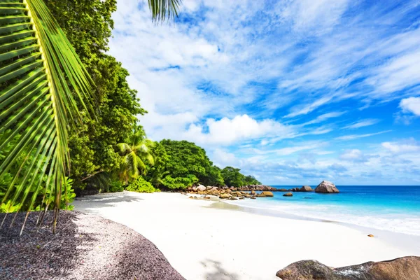 Rajská pláž na anse lazio na Seychelách 57 — Stock fotografie