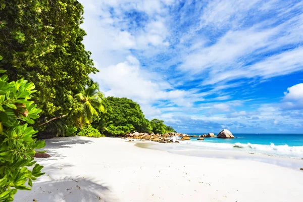 66塞舌尔湾的天堂海滩 — 图库照片
