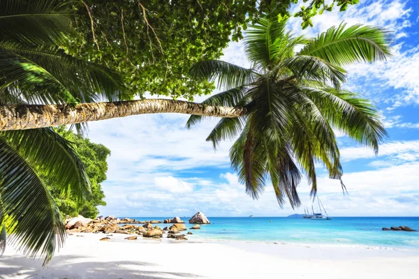 Katamarány na anse lazio na Seychelách 69 — Stock fotografie