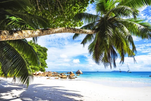 Katamarány na anse lazio na Seychelách 78 — Stock fotografie