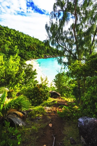 Panoramautsikt över Överblicken till paradise beach anse georgette, praslin, se — Stockfoto