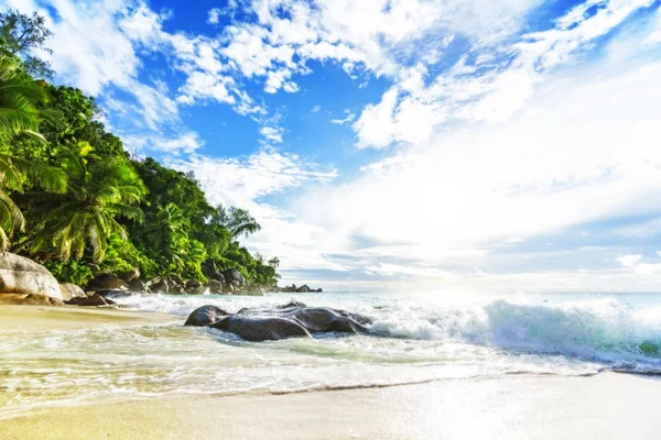 Dia ensolarado no paraíso praia anse georgette, praslin seychelles 47 — Fotografia de Stock