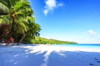anse lazio, praslin, Seyşeller 19 çarpıcı Cennet plaj