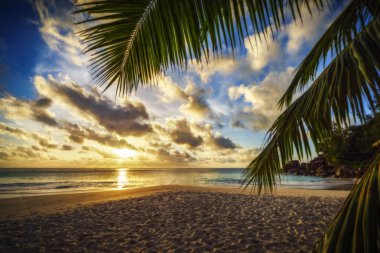 Cennet plaj 2 bir palmiye yaprağı üzerinden günbatımı