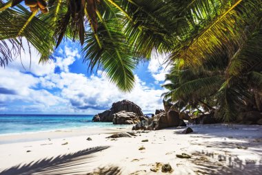 Cennet plaj anse, palmiye ağaçlarının dolma, la digue, Seyşel
