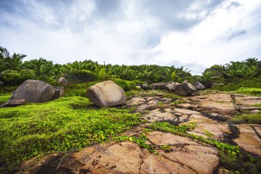Kaba ve vahşi kayalık sahil şeridi anse songe, la digue, Seyşel