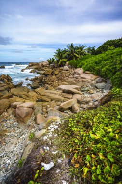 Kaba ve vahşi kayalık sahil şeridi anse songe, la digue, Seyşel