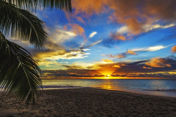 Patrząc przez liść palmowy o zachodzie słońca w anse żorżety, praslin, se — Zdjęcie stockowe