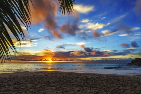 Blick durch Palmblatt bei Sonnenuntergang bei anse georgette, praslin, se — Stockfoto