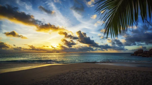 Západ slunce skrze Palmový list na paradise beach 3 — Stock fotografie