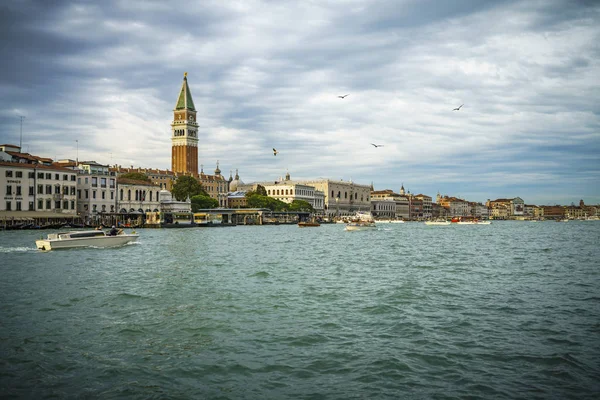 Gaviotas voladoras junto al Campanile di San Marco en Venecia 1 — Foto de Stock