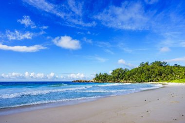 Polis defne, Seyşeller 4 güzel Cennet plaj