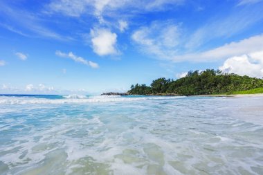 Polis defne, Seyşeller 12 güzel Cennet plaj