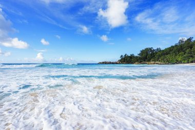 Polis defne, Seyşeller 24 güzel Cennet plaj