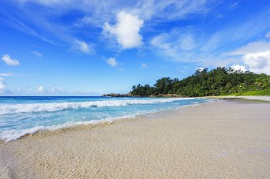Polis defne, Seyşeller 27 güzel Cennet plaj