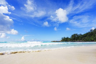 Polis defne, Seyşeller 34 güzel Cennet plaj