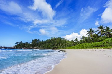 Polis defne, Seyşeller 44 güzel Cennet plaj