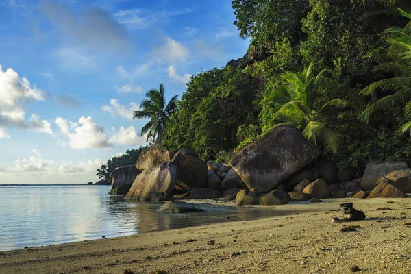 Ausgraben an einem wunderschönen paradiesischen Strand auf den Seychellen 1 — Stockfoto