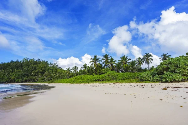 Hermosa playa paradisíaca en la bahía de la policía, seychelles 42 — Foto de Stock
