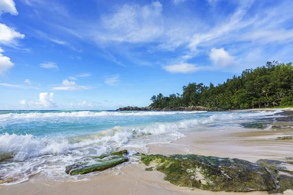 Hermosa playa solitaria salvaje, bahía de la policía, seychelles 33 — Foto de Stock