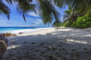 güzel cennet plaj, anse bazarca, Seyşel Adaları 11