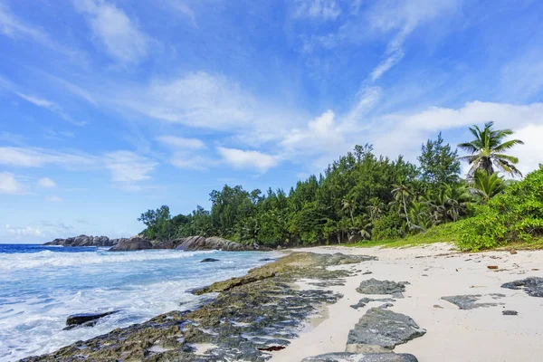 Hermosa playa solitaria salvaje, bahía de la policía, seychelles 39 — Foto de Stock