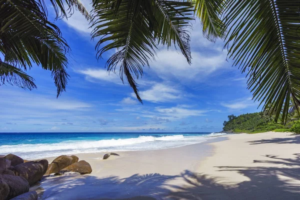 Krásný paradise beach, anse bazarca, Seychely 26 — Stock fotografie