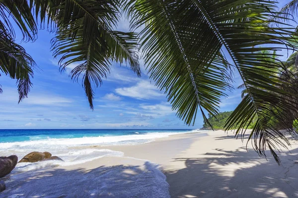Krásný paradise beach, anse bazarca, Seychely 25 — Stock fotografie