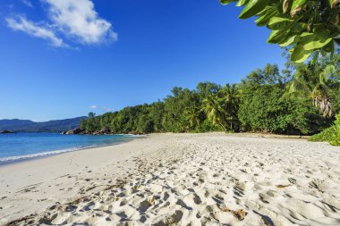 Cennet tropikal plajı, beyaz kum, turkuaz su, palmiye ve granit kayalar, mahe, seyşel