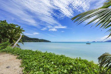 palm arkasındaki turkuaz su tekne ile güzel lagün anse mouche a la bir mahe, Seyşel Adaları bırakır