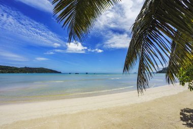 palm arkasındaki turkuaz su tekne ile güzel lagün anse mouche a la bir mahe, Seyşel Adaları bırakır