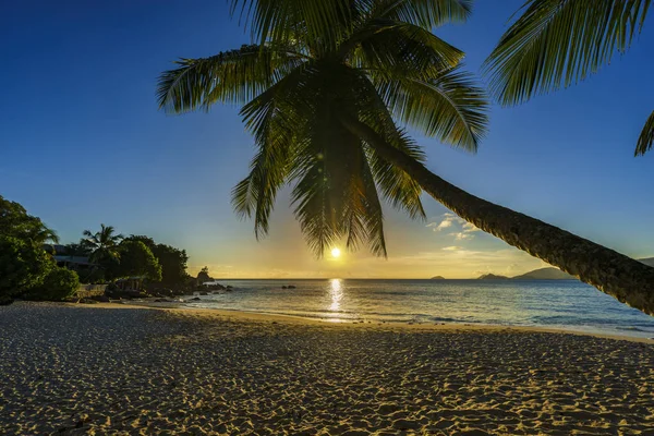 Piękny romantyczny zachód słońca z palmą w raju, być Seszele — Zdjęcie stockowe