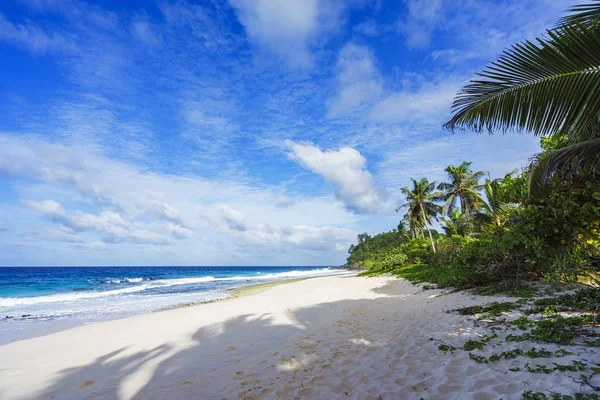 Belle plage solitaire avec palmiers au paradis, anse bazarca, sey — Photo