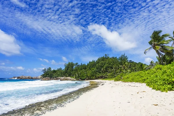 Krásné tropické pláže, palmy, bílý písek, žulové skály, seychell — Stock fotografie