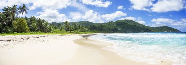 Güzel tropikal plaj, avuç içi, beyaz kum, Granit kayalar, Seyşel