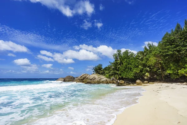 Tropisch strand met palmbomen, wit zand, granieten rotsen, seychell — Stockfoto