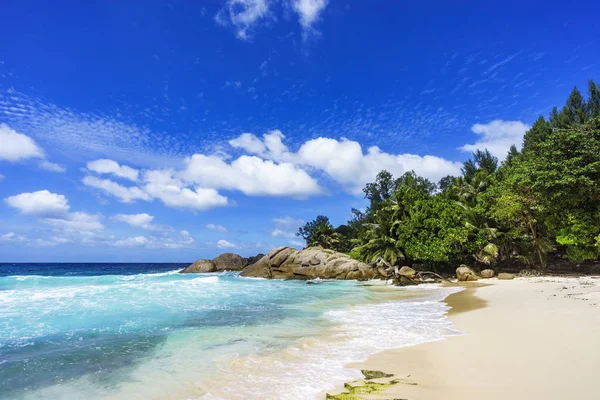 Hermosa playa tropical, palmeras, arena blanca, rocas de granito, seychell — Foto de Stock