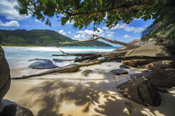 Ramas y rocas de granito en la playa tropical salvaje, bahía de la policía, seychelles —  Fotos de Stock