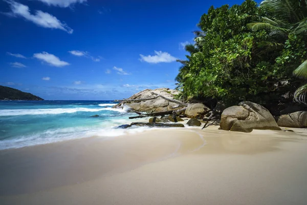 Hermosa playa tropical paraíso, palmeras, rocas, arena blanca, agua turquesa, seychelles — Foto de Stock