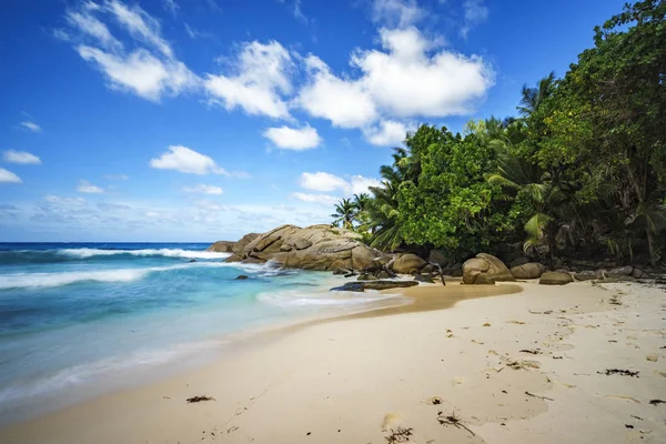 Hermosa playa tropical paraíso, palmeras, rocas, arena blanca, turquesa — Foto de Stock