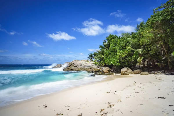Όμορφο παράδεισος τροπική παραλία, βράχους, λευκή άμμο, φοίνικες, turquoi — Φωτογραφία Αρχείου