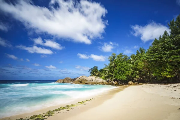 Hermosa playa tropical paraíso, palmeras, rocas, arena blanca, turquesa — Foto de Stock