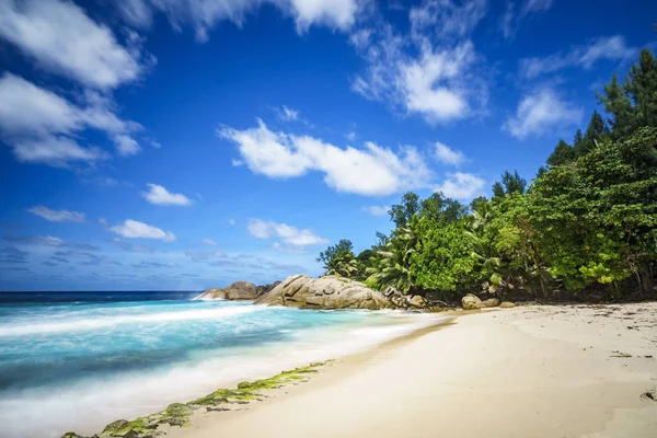 Hermosa playa tropical paraíso, palmeras, rocas, arena blanca, turquesa — Foto de Stock